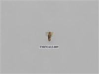 藏品(夜蛾科)的圖片